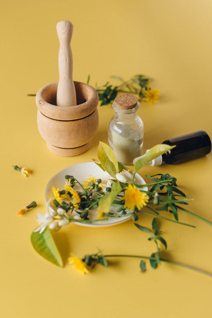 Herbal remedy ingredients with mortar and bottle