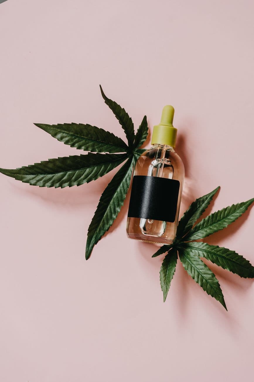 Dropper bottle with CBD oil and hemp leaves